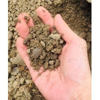 ราคา ดินล้วนสำหรับปลูกต้นไม้ (มือหนึ่ง) (355807223)