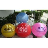 ราคา ผลิตสินค้าเป่าลม ตุ๊กตาเป่าลม ตุ๊กตาล้มลุก บอลลูน เครื่องเป่าลม บ้านลม สระน้ำเป่าลม ซุ้มลม ท่อผ้าลมสกายทูป แกซฮีเลี่ยมราคาถูก (มือสอง) (427323)