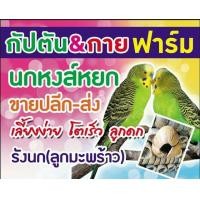 ราคา นกหงส์หยก (138239125)