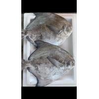 ราคา ปลาเต๋าเต้ย (มือหนึ่ง) (360478265)