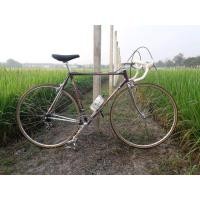 ราคา จักรยานเสือหมอบแข่งวินเทจ Daccordiไซส์ 54 รุ่น griffe ท่อ Columbus SLX สีเปลือกมังคุด อะไหล่ เทพ Campagnolo Super record. (มือสอง) (341386052)