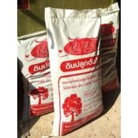 ราคา ดินปลูกต้นไม้ (มือหนึ่ง) (360472008)