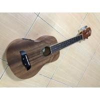 ราคา อูคูเลเล่ไฟฟ้า Oscar Schmidt by Washburn รุ่น OU2E (มือสอง) (360359450)