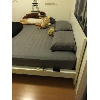 ราคา เตียง 6 ฟุต พร้อมที่นอน Slumberland (มือสอง) (360335180)