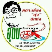 ราคา กุ้งก้ามแดง และ ปลากัดสวยงาม (111758229)