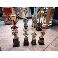 ราคา ถ้วยรางวัล (มือสอง) (360307288)
