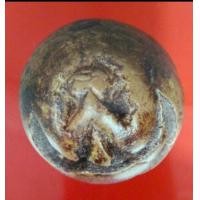 ราคา พระปิดตา หลวงพ่อแก้ววัดเครือวัลย์ พิมพ์ปั้น หัวปลาไหล (มือสอง) (360047210)