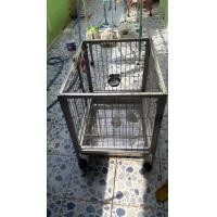 ราคา กรงน้องหมาสเตนเลสแท้ (มือสอง) (333760047)