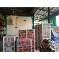 ราคา ห้องเย็นแช่แข็งอาหาร สินค้า ร้านอาหาร ร้านค้า (มือสอง) (346568258)