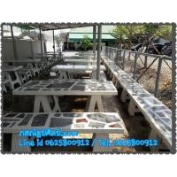 ราคา โรงงานอุตสาหกรรมนวนคร โรงงานอุตสาหกรรมมาบตาพุด โรงงานอุตสาหกรรมโรจนะ โรงงานอุตสาหกรรมอมตะซิตี้ระยอง โต๊ะสวยๆ โต๊ะสวยงามราคาถูก โต๊ะนักเรียน (มือหนึ่ง) (129159798)