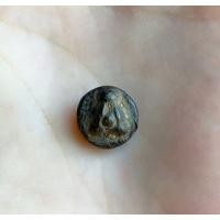 ราคา ปิดตาเม็ดกระดุมหลวงพ่อเชย (มือสอง) (360229942)