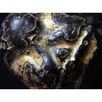 ราคา พระปิดตา หลวงปู่แก้ว วัดเครือวัลย์ เนื้อผงกะลา ยุคต้น AA12381 (มือสอง) (358410525)