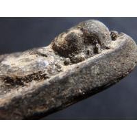 ราคา หลวงปู่ทวด ว่าน 2497 หูขีด AA59978122 (มือสอง) (133762752)