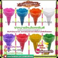 ราคา โคนดอกบัวแหลม กรวยไอศรีมสี โคนไอติมสี กรวยไอติม ใช้ทำกระทง งานประดิษฐ์ ร้านโคนกระทง ราคาส่ง (มือหนึ่ง) (357405127)