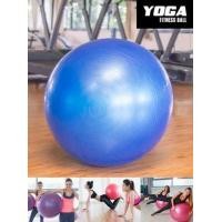 ราคา ลูกบอลโยคะขนาด 55 ซม.(สีน้ำเงิน) พร้อมที่สูบลมแบบมือ (มือหนึ่ง) (340748550)