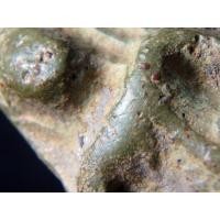 ราคา พระนางพญา เนื้อเขียว กรุเก่า สวยมาก AA50367 (มือสอง) (352100869)