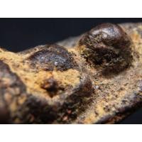 ราคา พระรอดมหาวัน คราบกรุสวยเดิม AA701130 (มือสอง) (345518995)