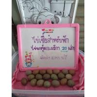 ราคา ไข่เชื้อนกคุ้มอเมริกา สำหรับตู้ฟักไข่ (มือหนึ่ง) (357722024)