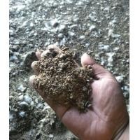 ราคา ขี้ไก่ แกลบขี้ไก่ ขี้วัว ปุ๋ยคอก ชีวพันธุ์ (มือหนึ่ง) (353226874)