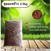 ราคา ขุยมะพร้าว 2.5 กิโลกรัม สำหรับผสมดินปลูก ตอนกิ่ง ขยายพันธุ์ (มือหนึ่ง) (356673038)