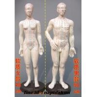 ราคา หุ่นจำลองจุดฝังเข็ม (มือหนึ่ง) (136702675)