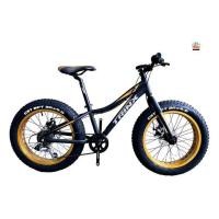 ราคา จักรยานเสือภูเขา TRINX T100.เฟรมอลูมิเนียมล้อ20นิ้ว (มือหนึ่ง) (360196494)
