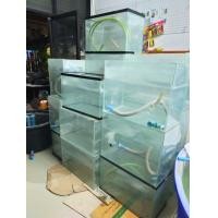 ราคา ตู้ปลา 24นิ้ว (มือสอง) (359698296)