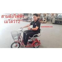 ราคา จักรยานสามล้อไฟฟ้า Meadow รุ่น 12 นิ้ว (มือหนึ่ง) (347236979)