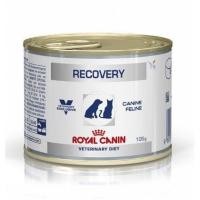 ราคา royal canin recovery (359220232)