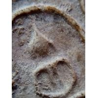 ราคา พระสมเด็จพิมพ์แปลกครับ (มือสอง) (360126212)