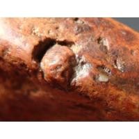 ราคา พระซุ้มกอ กำแพงเพชร AA280036 (มือสอง) (337229799)