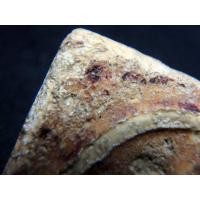 ราคา สมเด็จวัดระฆัง พิมพ์โบราณใหญ่ เนื้อสวยมาก AA2205874 (มือสอง) (334570988)