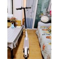ราคา สกูตเตอร์ไฟฟ้า สกู๊ตเตอร์ Electric Scooter (มือหนึ่ง) (359590950)