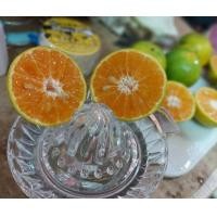 ราคา ที่คั้นส้ม คั้นมะนาว จากญี่ปุ่น (มือสอง) (360019813)