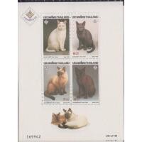 ราคา ชีทแมวไทยพันธ์ุต่างๆ (มือหนึ่ง) (131728634)