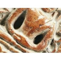 ราคา ให้เช่า สมบัติบ้าน พระกำแพงซุ้มกอ พิมพ์ใหญ่ มีกนกข้าง มีหน้ามีตา เก่า สวยคมสมบูณ์ (มือสอง) (335901703)