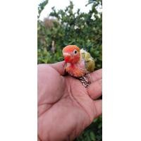 ราคา ขายลูกป้อนนกเลิฟเบิร์ดพายกรีน (359874993)