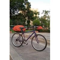 ราคา เสือภูเขา ของ GIANT ดีไซน์โดย U.S.A รุ่น HARDLINE 7000 (มือสอง) (355904471)