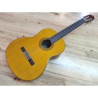 ราคา Yamaha​ C-40​ กีต้าร์คลาสสิค​ มือสอง​ สภาพดี ใช้งานปกติ​ิ​ สีไม้สวยๆ​ เฟรตสภาพดีเงาๆ ผลิต​ อินโดนีเซีย (มือสอง) (359821845)