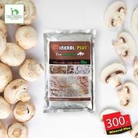 ราคา แร่ธาตุเห็ด แร่ธาตุเสริม กระตุ้นการเกิดดอกเห็ด Mineral Plus For Mushroom (มือหนึ่ง) (359690394)