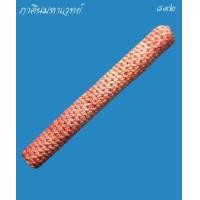 ราคา ตะกรุดโทนเชือกแดง หลวงพ่อชำนาญ วัดบางกุฏีทอง ปทุมธานี (364828)