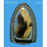 ราคา หน้าผากเสือหลวงพ่อมุม วัดนาสัก จ.ชุมพร (367188)