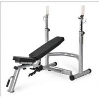 ราคา ขาย Horizon Adonis Rack (339312)