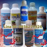 ราคา สารเคมีกำจัดปลวก,น้ำยากำจัดปลวก,ยาปราบปลวก,ยาฆ่าปลวก,น้ำยาปลวก,ยาปลวก,ปลวก,กำจัดปลวก