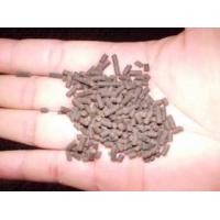 ราคา อาหารปลาเม็ดจมเกรดซุปเปอร์พรีเมียม bunbunfishfood สูตร 1 เม็ดจมใหญ่