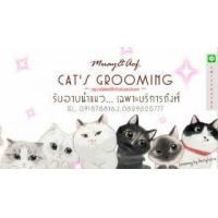 ราคา บริการรับอาบน้ำ ไถขนเฉพาะแมว ถึงบ้านเฉพาะในกทม.