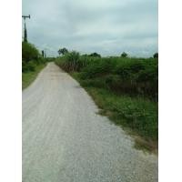 ราคา ขาย laokung -ที่ดินเนื้อที่ 1 ไร่ อำเภอเลาขวัญ กาญจนบุรี (367792)