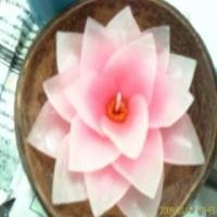 ราคา เทียนหอมดอกไม้ ในกะลามะพร้าว