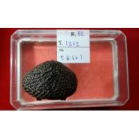 ราคา เบี้ยแก้ ยุคกลาง หลวงปู่เพิ่ม วัดกลางบางแก้ว นครปฐม