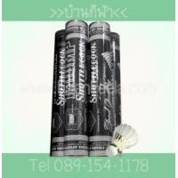 ราคา ลูกแบดมินตัน ไทรอัมพ์ (287408)